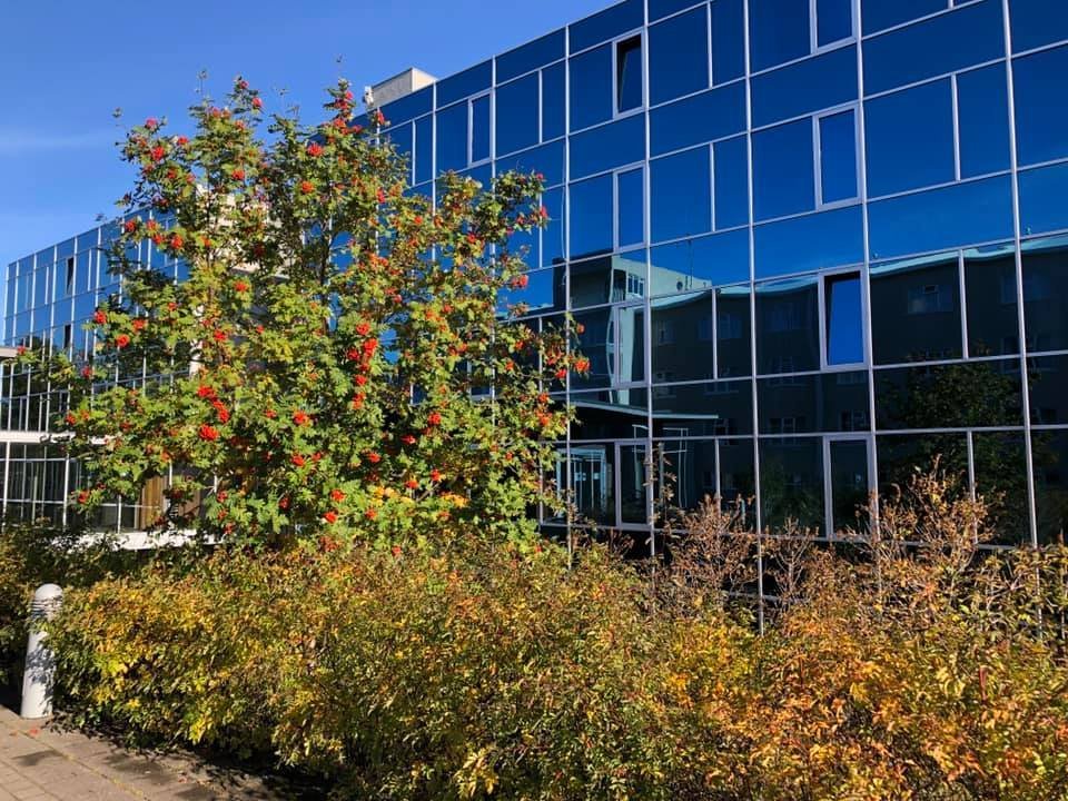 Heimavistarráð skólaárið 2025-2026