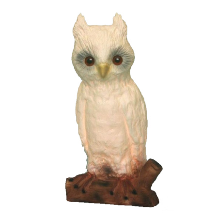 Reglur á próftíma