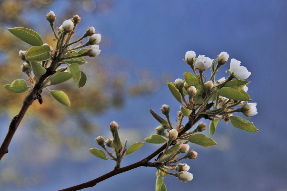 Lokað á heimavistinni um páskana.