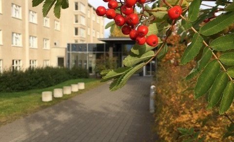 Uppsagnir á húsaleigusamningum fyrir þá íbúa sem hætta námi um áramót