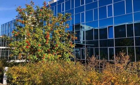 Heimavistarráð skólaárið 2025-2026