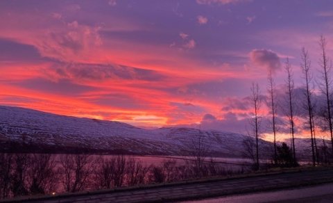 Varðandi rafræna húsaleigusamninga
