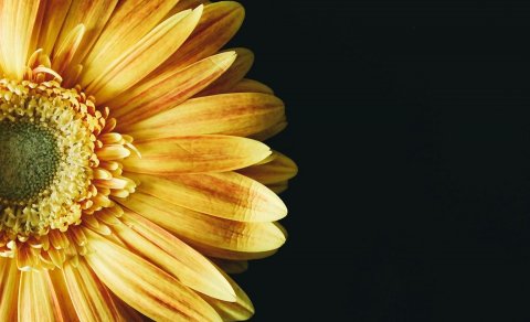 Lokað á heimavistinni um páskana.