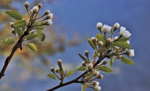 Lokað á heimavistinni um páskana.